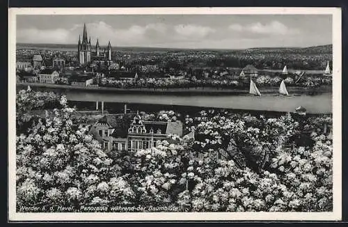 AK Werder a. d. Havel, Panorama während der Baumblüte