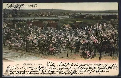 AK Werder / Havel, Blick von der Bismarck-Höhe