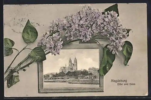 AK Magdeburg, Elbe und Dom, Passepartout mit Bilderrahmen und Fliederzweig