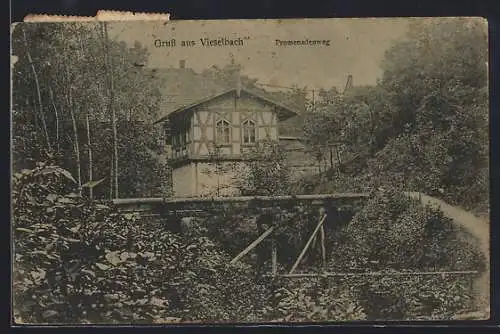 AK Vieselbach, Promenadenweg