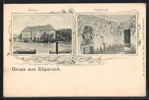 AK Berlin-Köpenick, Schloss und Orgelsaal