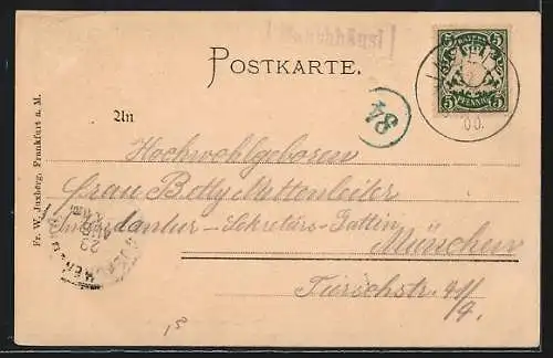 AK Mauthhäusl, Blick ins Tal, Edelweiss-Passepartout