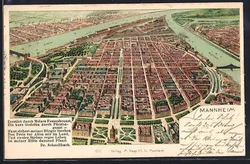 Lithographie Mannheim, Totalansicht aus der Vogelschau