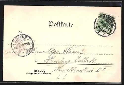 Lithographie Mannheim, Totalansicht aus der Vogelschau