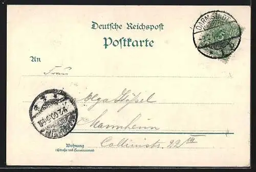 Lithographie Darmstadt, Markt mit Rathaus und Martinskirche