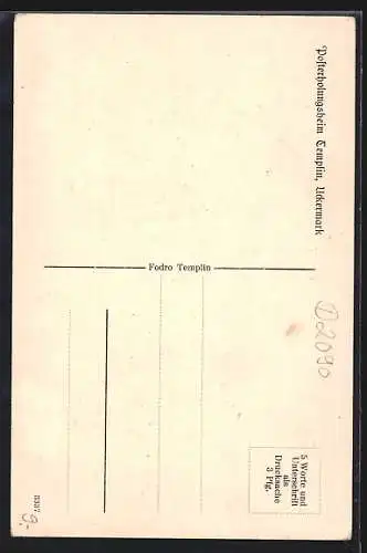 AK Templin /Uckermark, Posterholungsheim Haus Nr. 18