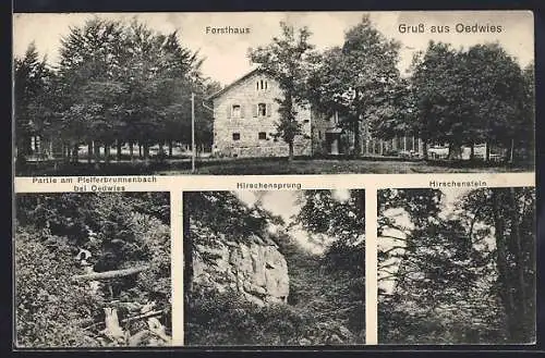 AK Oedwies, Forsthaus, Pfefferbrunnenbach, Hirschbrunnensprung und Hirschenstein