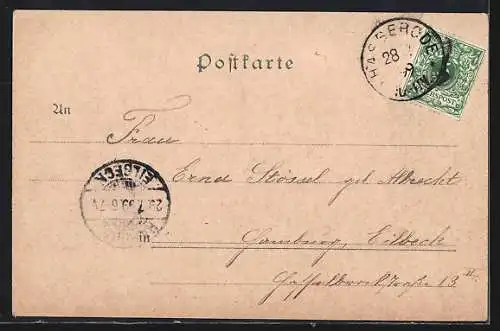 AK Wernigerode a. H., Eingang in das Salzbergthal, Strasse mit Kuhherde