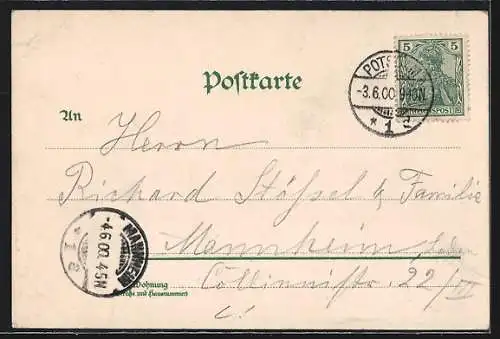 Lithographie Potsdam, Panorama vom Brauhausberg