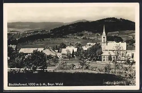 AK Bischofsreut / Bayr. Wald, Ortsansicht mit Kirche