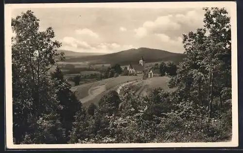 AK Bühl bei Simmelsdorf, Ortsansicht mit Landschaft