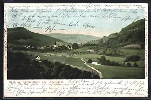 AK Eschenbach bei Hohenstadt, Blick auf den Ort