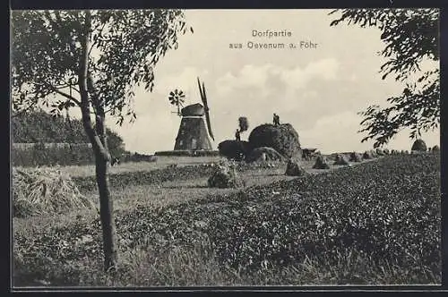 AK Oevenum a. Föhr, Dorfpartie mit Windmühle