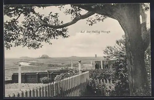 AK Hallig Hooge, Panorama über die Insel von Garten aus