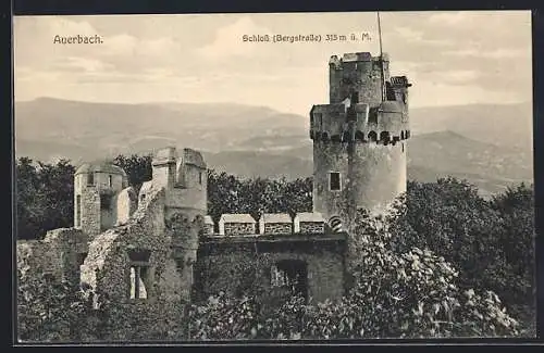 AK Auerbach, Schloss
