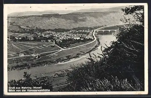 AK Mehring /Mosel, Blick von der Kammerwaldhöhe