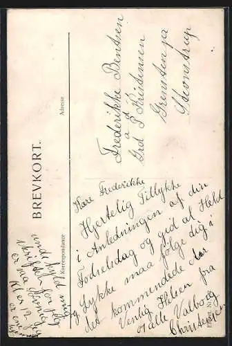 AK Flugzeug, Gedicht Flyve-Vise