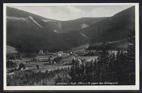 AK Wolfshau i. Rsgb., Ortsansicht gegen den Eulengrund