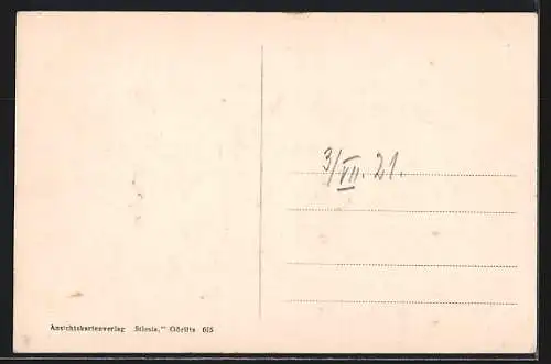 AK Schreiberhau-Marienthal, Ortsansicht aus der Vogelschau