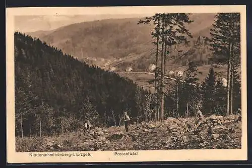 AK Niederschmiedeberg i. Erzgeb., Pressnitztal
