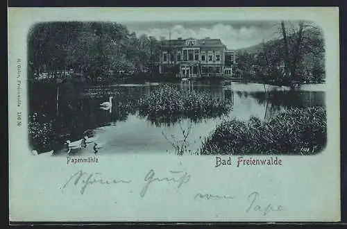Mondschein-AK Bad Freienwalde, Hotel und Restaurant Papenmühle mit Schwanenteich