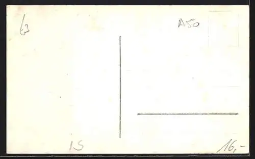 AK Reykjavik, Panorama