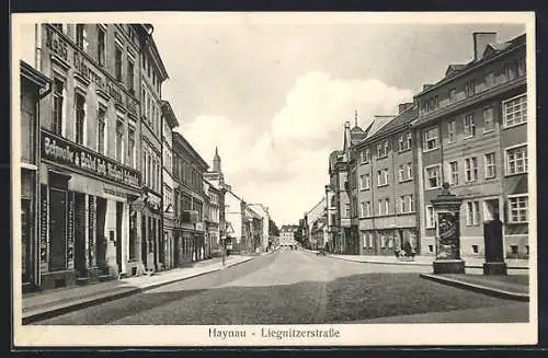AK Haynau, Liegnitzerstrasse mit Litfasssäule