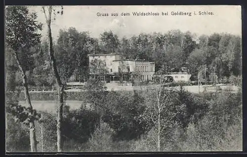AK Goldberg i. Schles., Waldschloss mit Anlagen