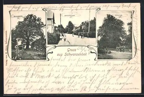 AK Schwarzenbek, Bahnhofstrasse, Bismarckeiche und Körnerlinde