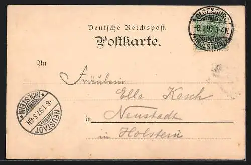 Lithographie Oldenburg i. H., Schuhstrasse mit Gebäudeansicht, Rathaus, Totalansicht