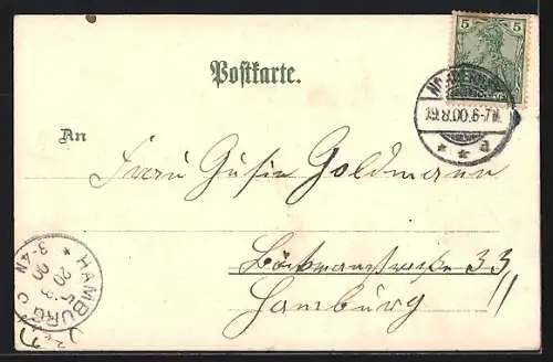 Lithographie Norderney, Seehospiz, Giftbude mit Strand, Matrosen winken Dampfer zu