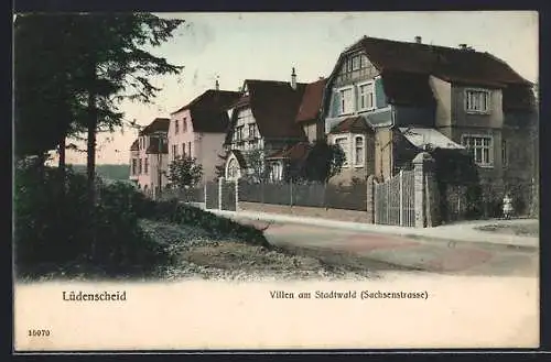 AK Lüdenscheid, Villen am Stadtwald in der Sachsenstrasse