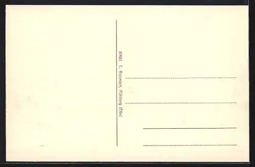 AK Mühlberg /Elbe, Hohestrasse mit kaiserl. Postamt