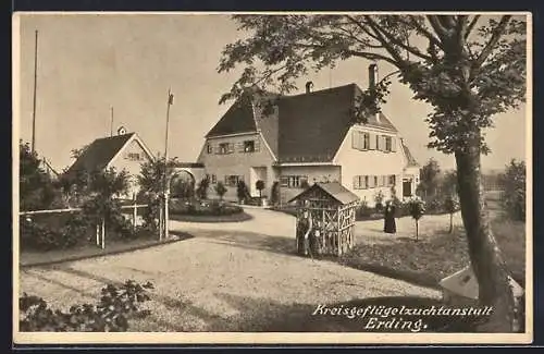 AK Erding, Kreisflügelzuchtanstalt mit Garten