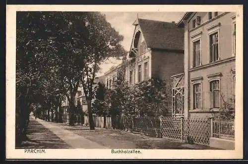 AK Parchim, Partie in der Buchholzallee