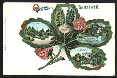 Passepartout-Lithographie Vossloch, Restaurant u. Pension Joh. Lange, Schloss Ranzau