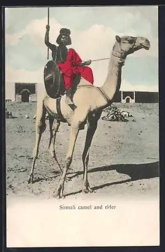 AK Somalia, Somali camel and rider, Afrikanischer Kamelreiter