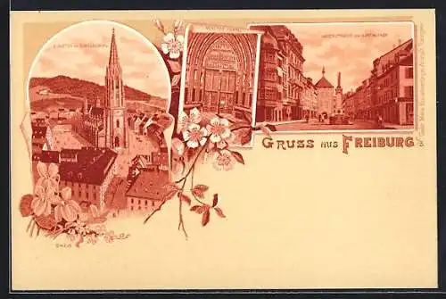 Lithographie Freiburg i. B., Kaiserstrasse, Münster mit Schlossberg & Portal