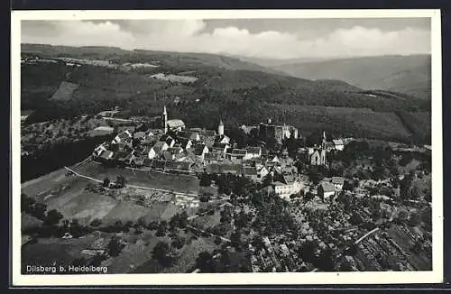 AK Dilsberg b. Heidelberg, Ortsansicht mit Burg aus der Vogelschau