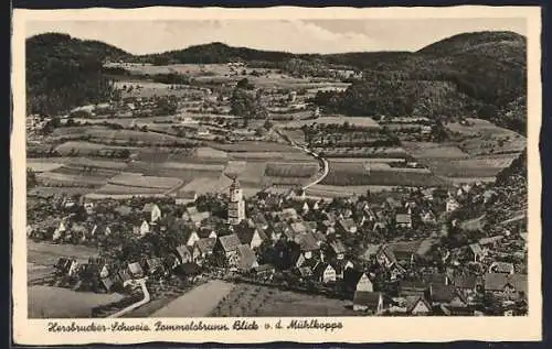 AK Pommelsbrunn, Totalansicht v. d. Mühlkoppe