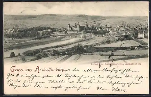 AK Aschaffenburg, Generalansicht der Stadt