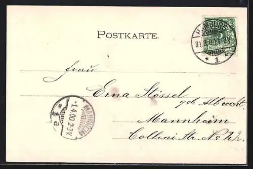 AK Hamburg-Neustadt, Der Jungfernstieg