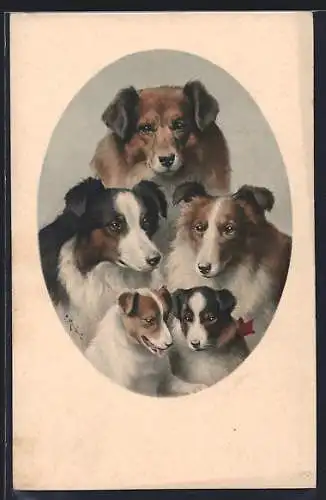 Künstler-AK Carl Reichert: Porträts von 5 Hunden