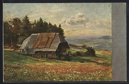 Künstler-AK Wilhelm Hasemann: Bauernhütte am Waldrand