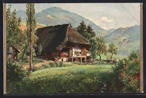 Künstler-AK Wilhelm Hasemann: Schwarzwälder Bauernhaus