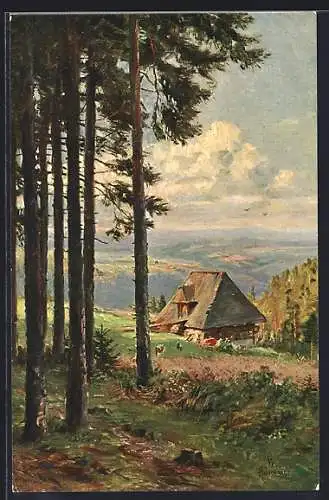 Künstler-AK sign.W. Hasemann: Nussbach, Schwarzwaldhaus