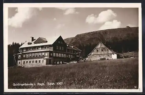 AK Schlingelbaude, Sommerpanorama