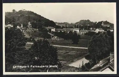 AK Falkenberg / Mark, Blick zur Karlsburg
