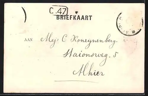 AK Alkmaar, Mint