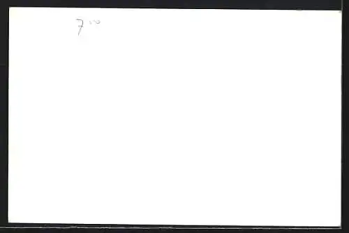 AK Westzaan Z., Panorama, Gem. Rieniging & Pont